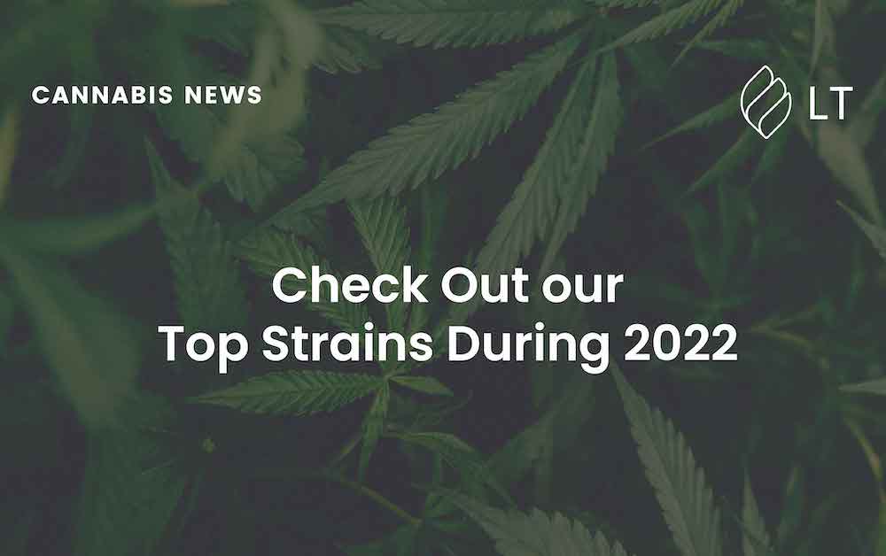 Check Out our Top Strains During 2022