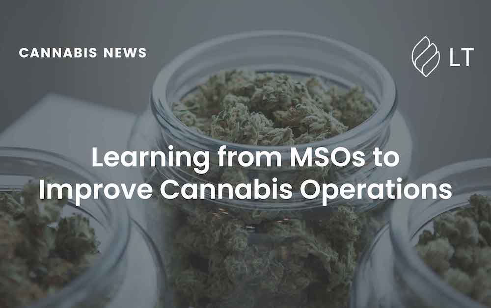 Learning from MSOs to improve cannabis operations