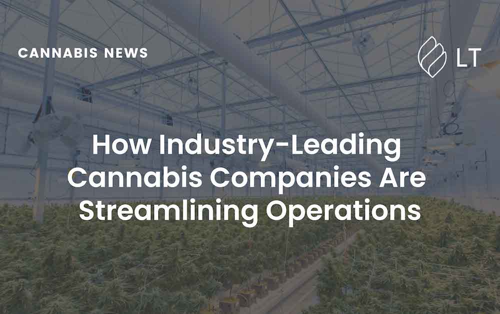 How Industry Leading Cannabis Companies Are Streamlining Operations